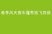 񲼷ŷ