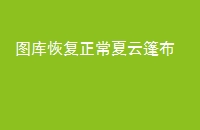 ͼָ