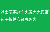 ߲˻ͻͽֲ񲼽