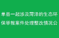 һ漰̬ٱ