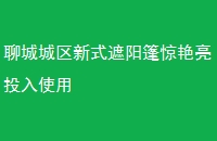 ĳǳʽͶʹ