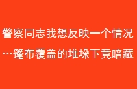 ͬ־뷴ӳһ񲼸ǵĶѶ¾