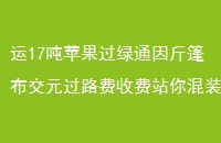 17ƻͨ񲼽Ԫ·շվװ
